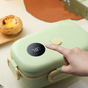 Intelligent Temperature Lunch Box